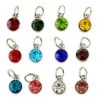 Cheapest 🌟 Charmalong™ Crystal Gems Charms by Bead Landing™ ✨ -Deals Bead Landing Store 10316382 30