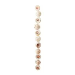 Outlet 🔔 White Swirl Shell Beads, 16mm by Bead Landing™ 👏 -Deals Bead Landing Store 10393672 30