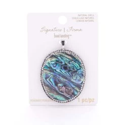 Brand new 👏 Signature Color Shop Large Abalone Shell Pendant By Bead Landing™ 🎁