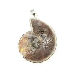 Best reviews of 🥰 Fossil Shell Pendant by Bead Landing™ 👍 -Deals Bead Landing Store 10549265