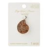 Best reviews of 🥰 Fossil Shell Pendant by Bead Landing™ 👍 -Deals Bead Landing Store 10549265 30