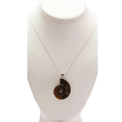 Best deal ⌛ 6 Pack: Fossil Shell Pendant by Bead Landing™ 🥰 -Deals Bead Landing Store 10549265 4 1