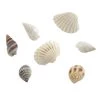 Hot Sale 😍 Shell Beads by Bead Landing™ 🥰 -Deals Bead Landing Store 10666597 1