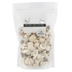 Hot Sale 😍 Shell Beads by Bead Landing™ 🥰 -Deals Bead Landing Store 10666597 2