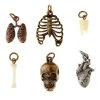 Top 10 🥰 12 Packs: 6 ct. (72 total) Found Objects™ Bone Charms by Bead Landing™ 👍 -Deals Bead Landing Store MP546160 30